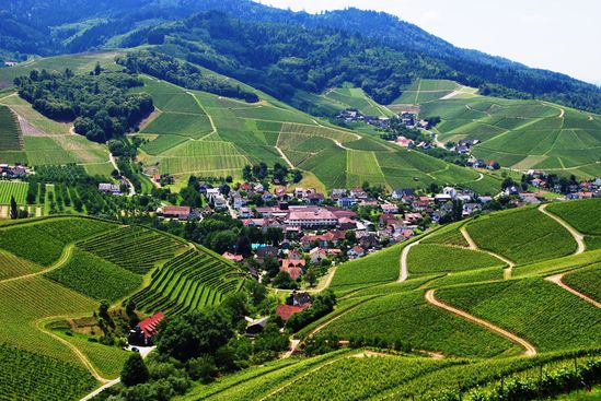 Durbach im Sommer